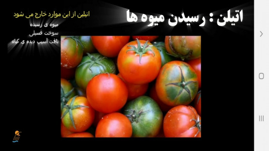 اسکرین شات برنامه زیست شناسی (۲) - آموزش و آزمون 4