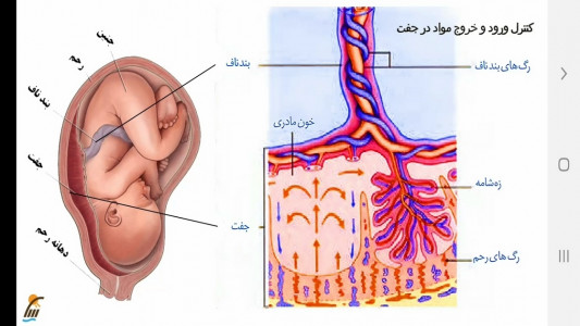 اسکرین شات برنامه زیست شناسی (۲) - آموزش و آزمون 11