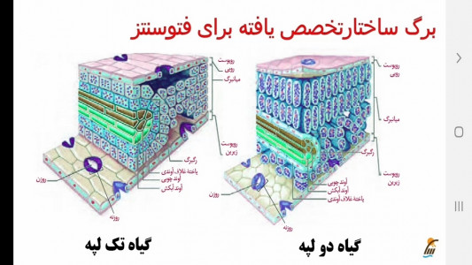 اسکرین شات برنامه آموزش زیست شناسی (3) - پایه دوازدهم 9