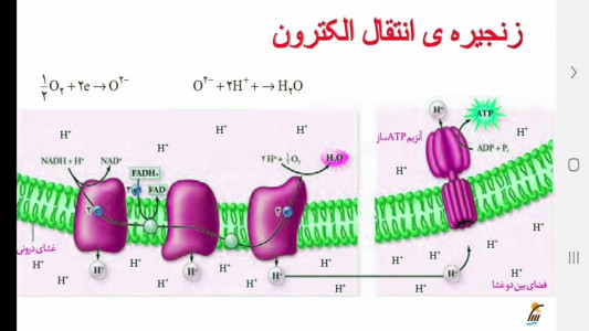 اسکرین شات برنامه زیست شناسی (3) - آموزش و آزمون 8