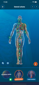 اسکرین شات برنامه The Human Body 4