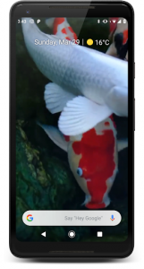 اسکرین شات برنامه Japanese Koi Fish Wallpaper 1