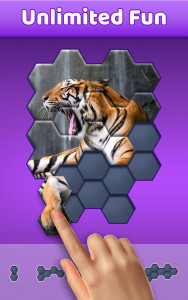 اسکرین شات بازی Hexa Jigsaw Puzzle ® 1