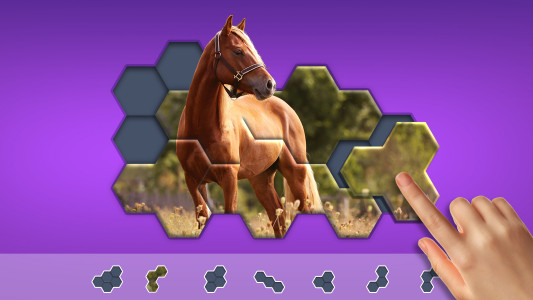 اسکرین شات بازی Hexa Jigsaw Puzzle ® 8