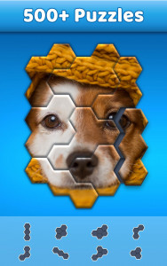 اسکرین شات بازی Hexa Jigsaw Puzzle ® 4