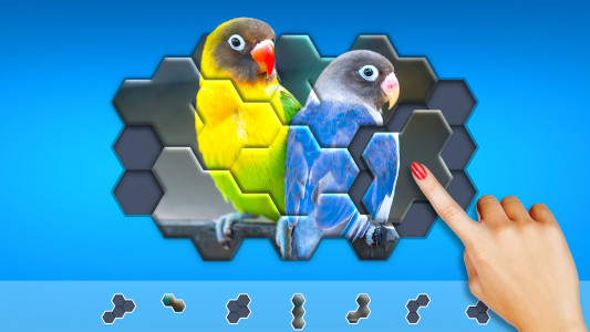 اسکرین شات بازی Hexa Jigsaw Puzzle ® 6