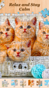 اسکرین شات 2 برنامه Super Jigsaw - HD Puzzle Games