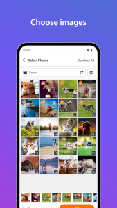 اسکرین شات 3 برنامه SELPHY Photo Layout