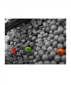 اسکرین شات 8 برنامه Monochrome Color Photo Effects
