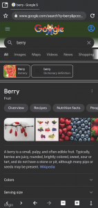 اسکرین شات برنامه Berry Browser 4