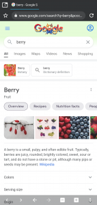 اسکرین شات برنامه Berry Browser 3