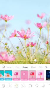 اسکرین شات 2 برنامه لاین کمرا (line camera)