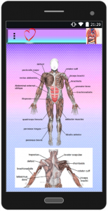 اسکرین شات برنامه ساختار بدن انسان 5
