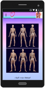 اسکرین شات برنامه ساختار بدن انسان 3