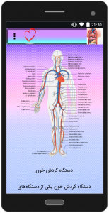 اسکرین شات برنامه ساختار بدن انسان 1