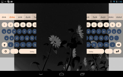اسکرین شات برنامه Dinka Keyboard Plugin 4