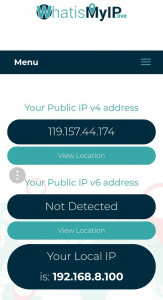 اسکرین شات برنامه What is My IP address 1