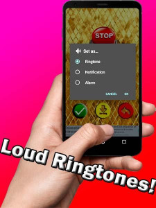 اسکرین شات برنامه Loud Ringtones 4