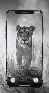 اسکرین شات برنامه 🐯 Lion Wallpapers - Angry 4K | HD Lion Pictures ❤ 3