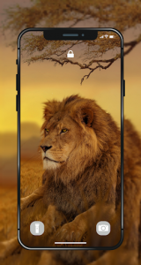 اسکرین شات برنامه 🐯 Lion Wallpapers - Angry 4K | HD Lion Pictures ❤ 1