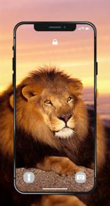 اسکرین شات برنامه 🐯 Lion Wallpapers - Angry 4K | HD Lion Pictures ❤ 5