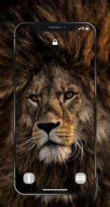 اسکرین شات برنامه 🐯 Lion Wallpapers - Angry 4K | HD Lion Pictures ❤ 4