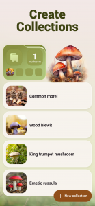 اسکرین شات برنامه Mushroom ID - Fungi Identifier 6