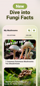 اسکرین شات برنامه Mushroom ID - Fungi Identifier 4