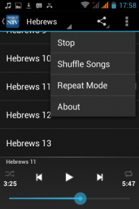 اسکرین شات برنامه Audio Bible Niv 5