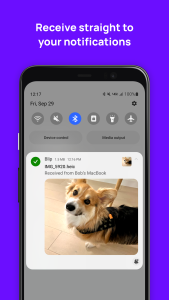 اسکرین شات 3 برنامه Blip (File Transfer)
