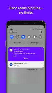 اسکرین شات 5 برنامه Blip (File Transfer)