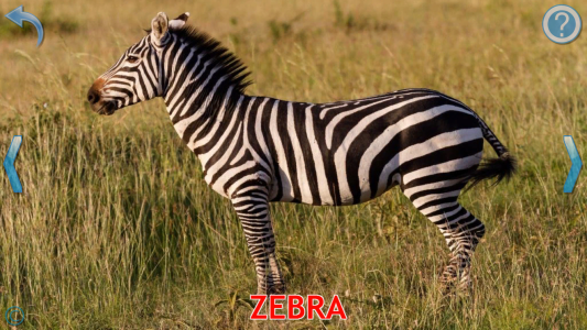 اسکرین شات 3 بازی Animals for Kids