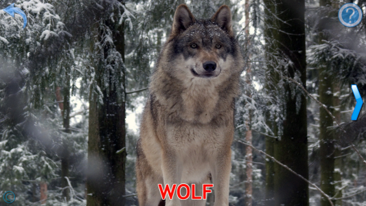 اسکرین شات 4 بازی Animals for Kids