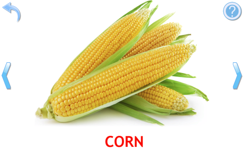 اسکرین شات 4 بازی Fruits and Vegetables for Kids