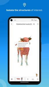 اسکرین شات برنامه vet-Anatomy 3
