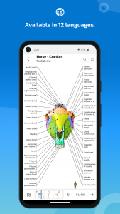 اسکرین شات برنامه vet-Anatomy 6