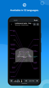 اسکرین شات برنامه vet-Anatomy 6