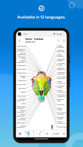 اسکرین شات 6 برنامه IMAIOS vet-Anatomy