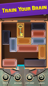 اسکرین شات بازی Unblock Puzzle: Slide Blocks 4