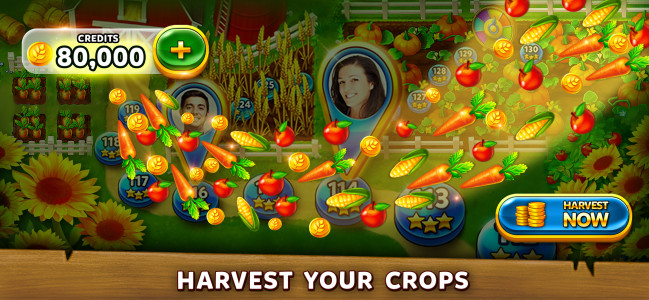 اسکرین شات بازی Solitaire Harvest - Tripeaks 3