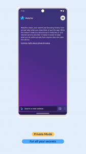 اسکرین شات 2 برنامه Waterfox: Privacy Web Browser