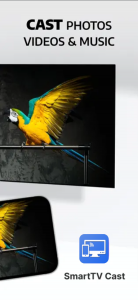 اسکرین شات 2 برنامه WiDi - Screen Mirroring to TV