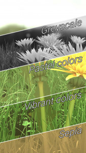اسکرین شات 3 برنامه Spring Flowers 3D LWP