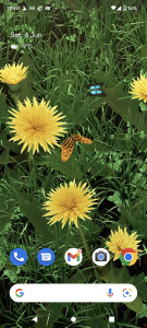 اسکرین شات 1 برنامه Spring Flowers 3D LWP