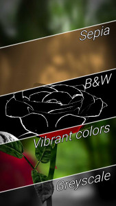 اسکرین شات برنامه 3D Rose Live Wallpaper Lite 4