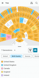 اسکرین شات برنامه FamilySearch Tree 2