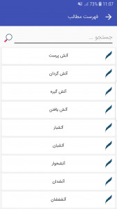 اسکرین شات برنامه فرهنگ لغت فارسی 2