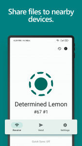 اسکرین شات 1 برنامه LocalSend: Transfer Files