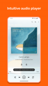 اسکرین شات برنامه VLC for Android 3