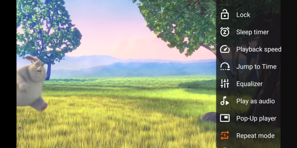 اسکرین شات برنامه VLC for Android 7